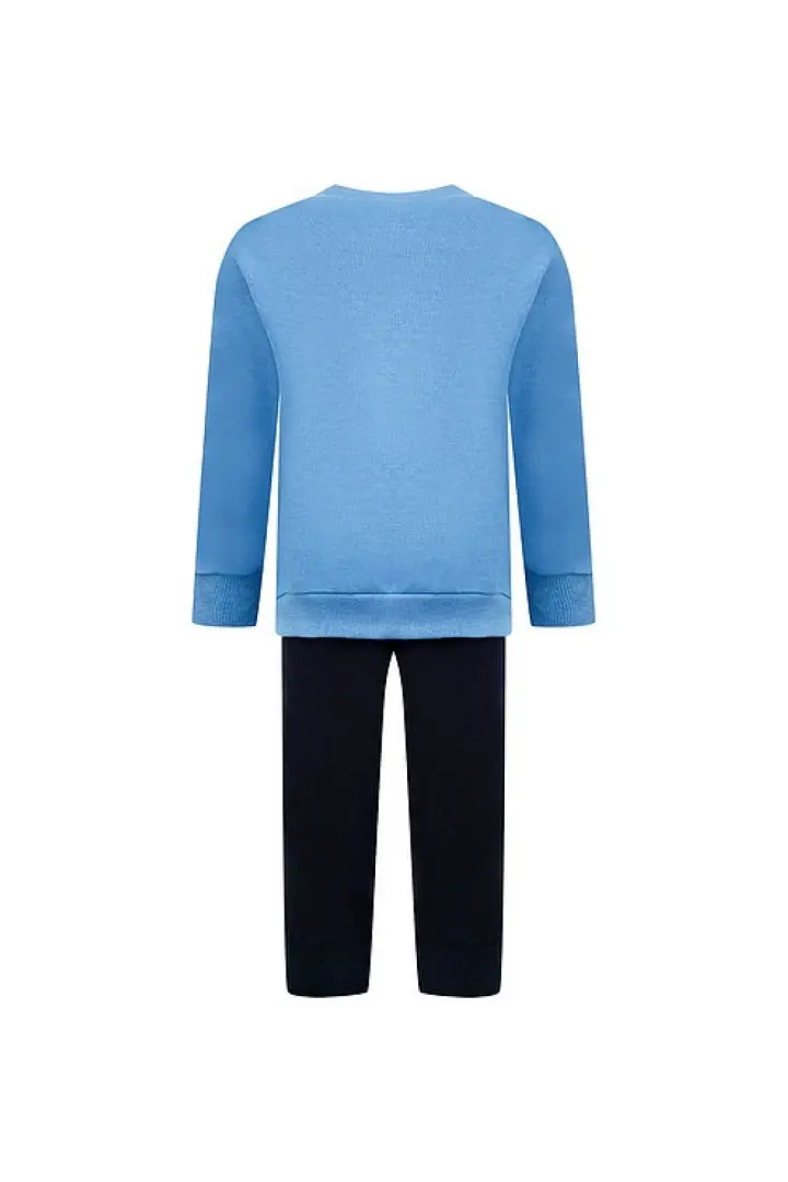 Комплект  "собака"