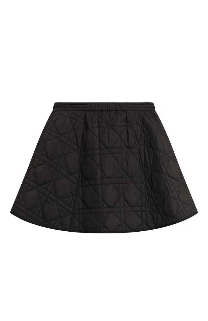 Dior Юбка с узором Стеганая техническая тафта