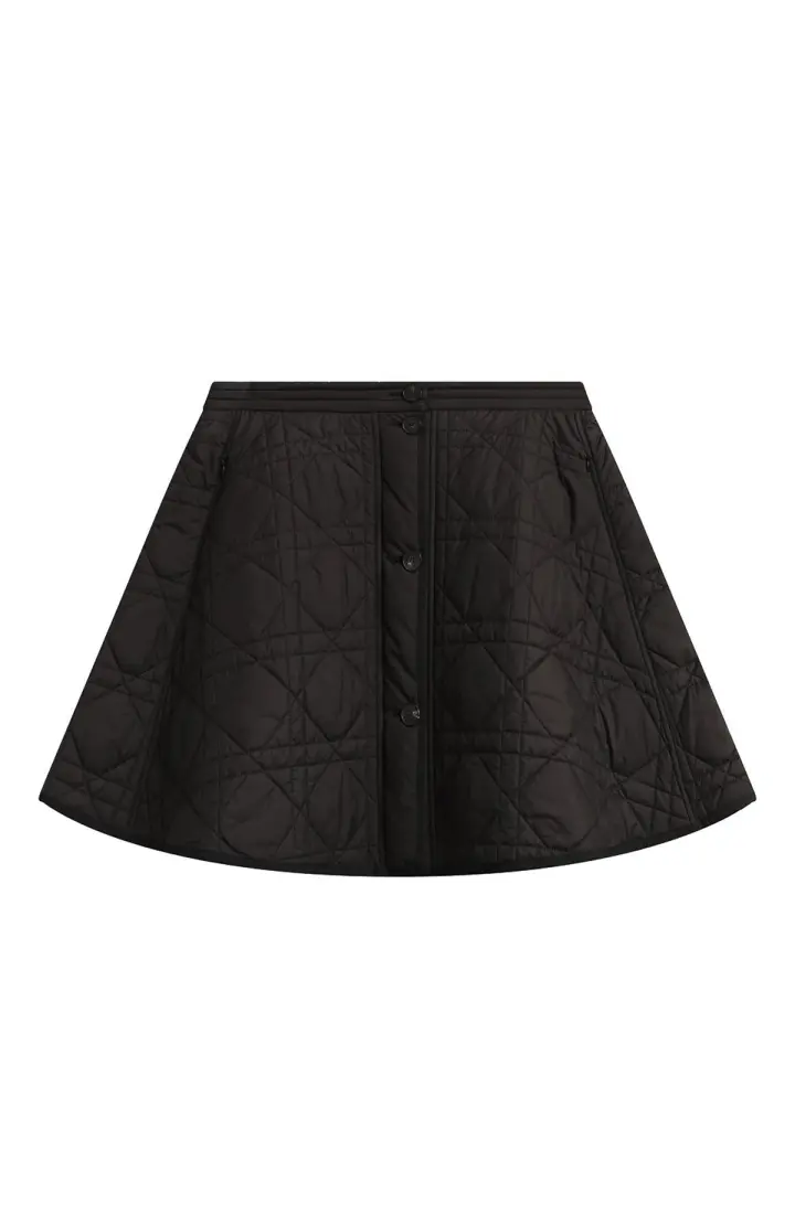 Dior Юбка с узором Стеганая техническая тафта