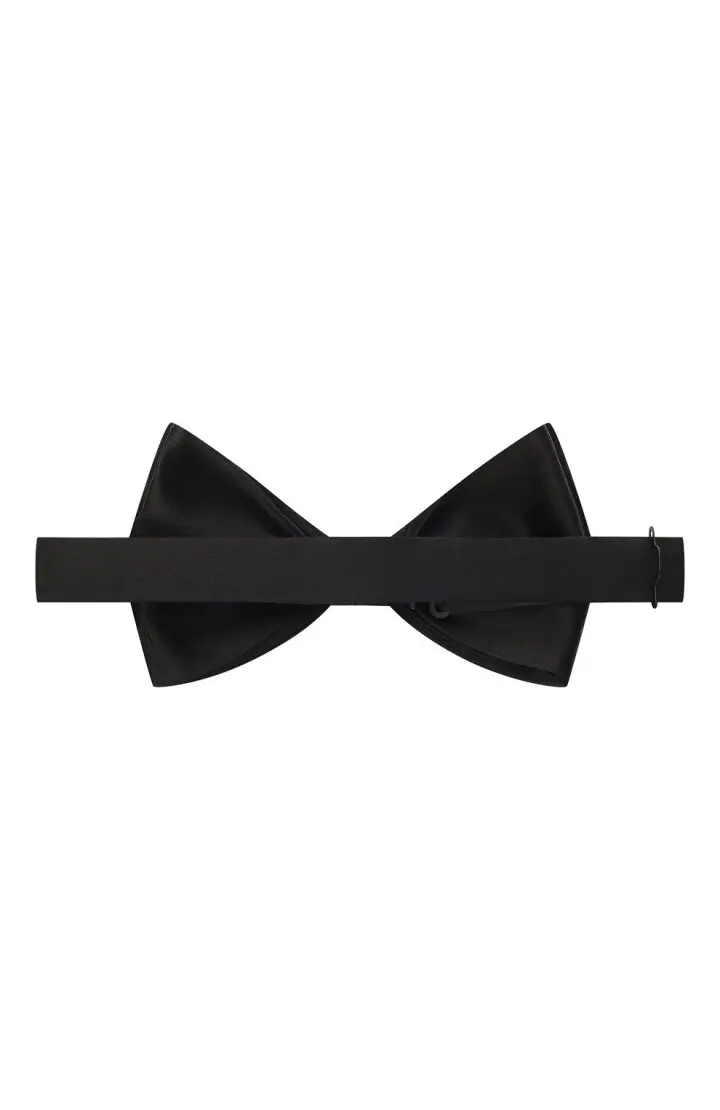  Бабочка мужская